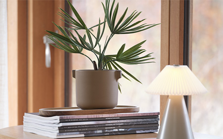 Decorează-ți casa cu plante și flori artificiale