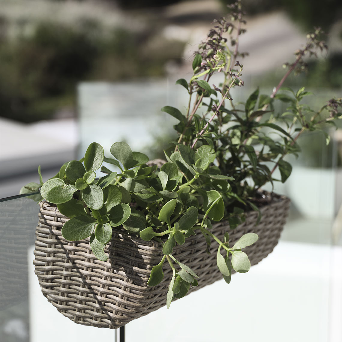 STEINTROST jardinieră Jardinieră din poliratan cu plante pe un balcon