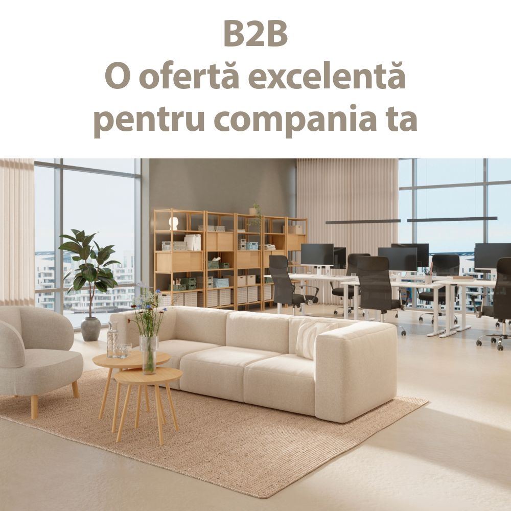 B2B