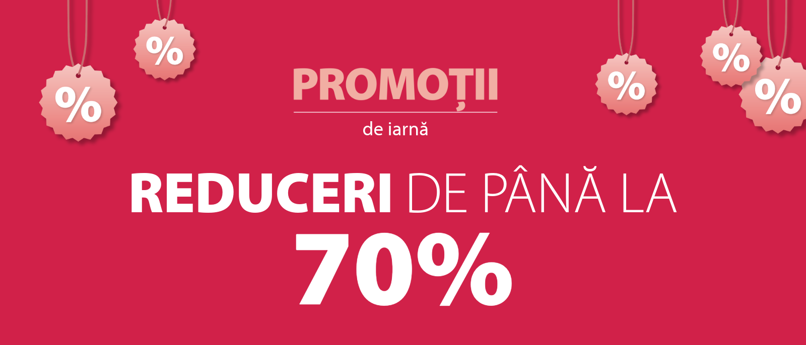 promotii de iarna