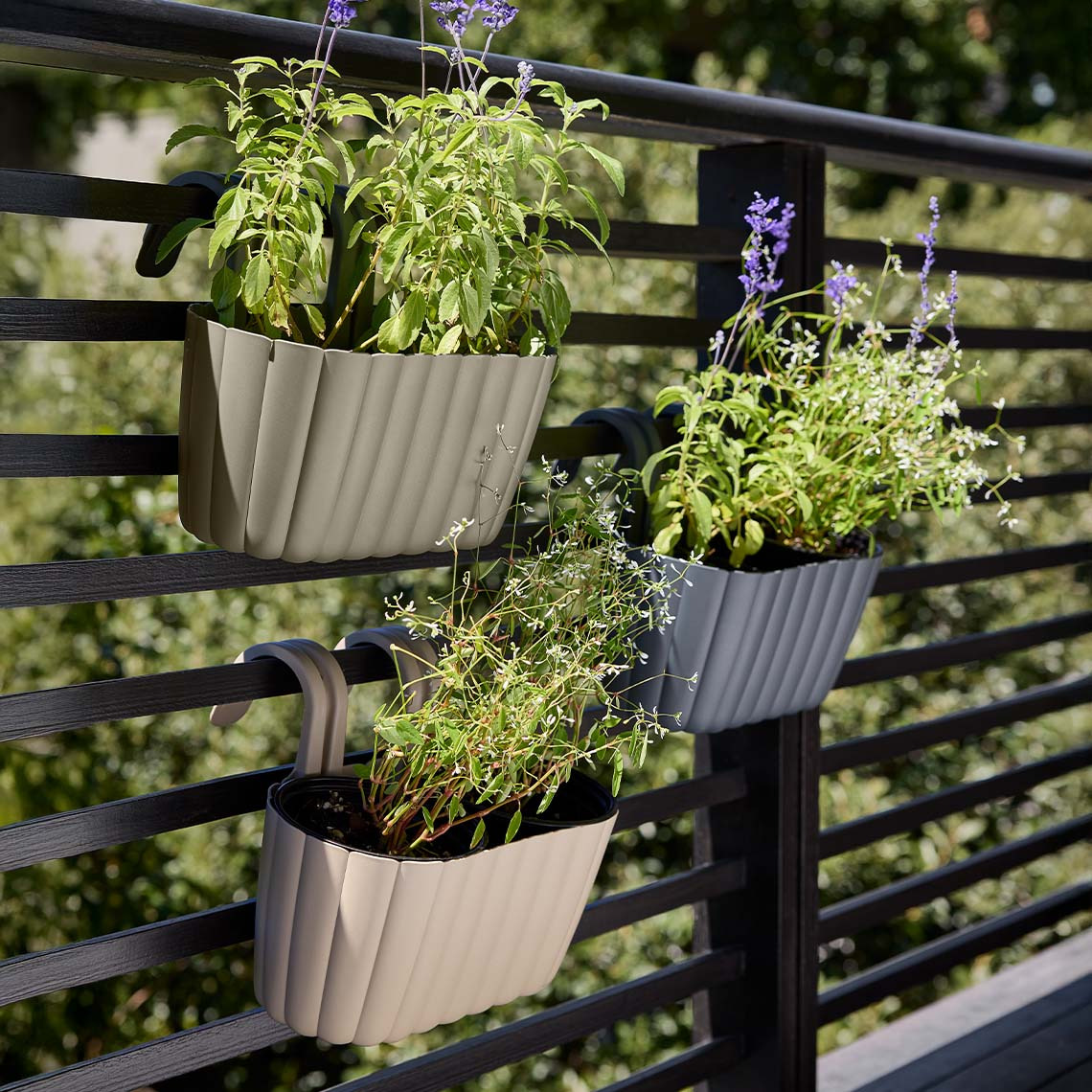 BUKSEBIE jardiniere pentru balcon Jardiniere suspendate pe balcon cu plante verzi