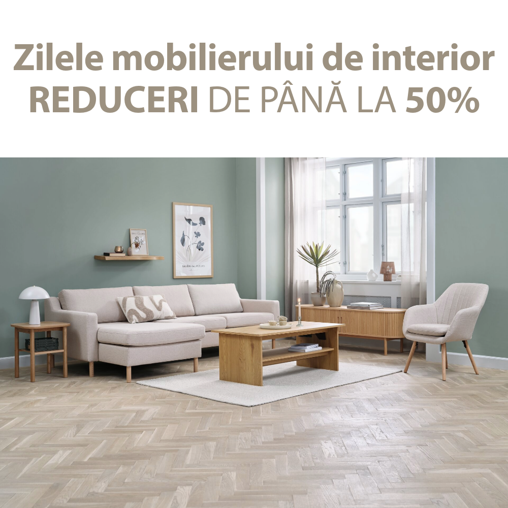 zilele mobilierului