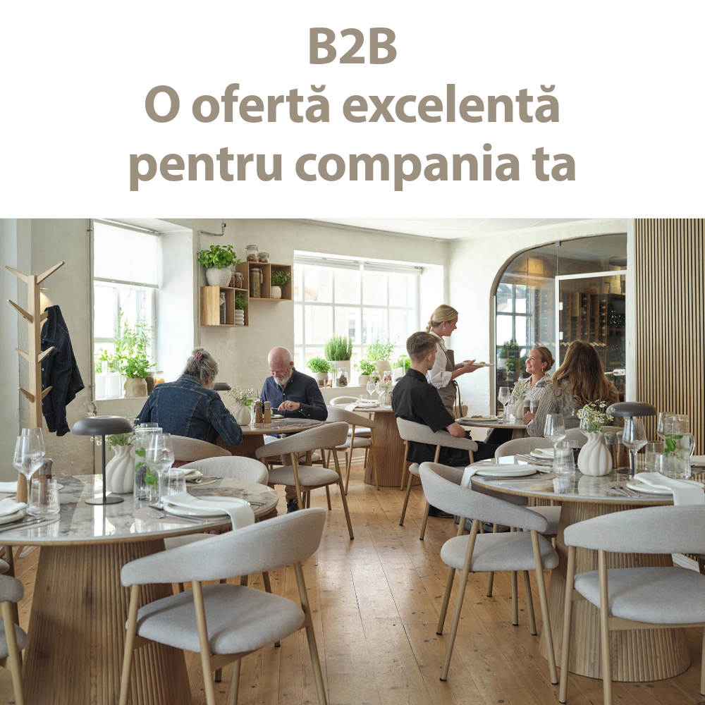B2B o oferta excelenta pentru compania ta