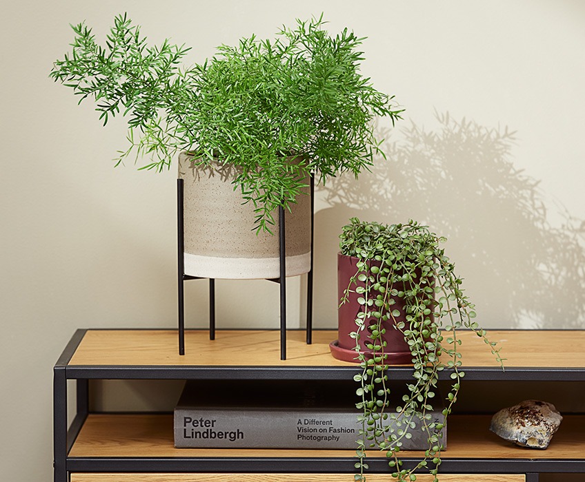 Two plant pots on a modern TV stand, one with a pointy plant and the other with a hanging plant 
