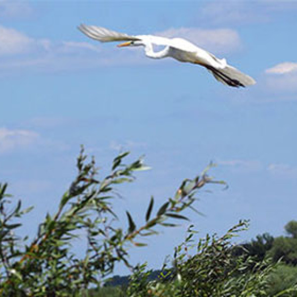 Redirectionare impozit pe venit