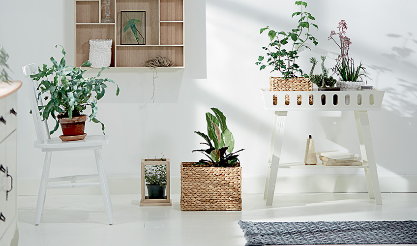 Scaun alb rustic LANGDAL